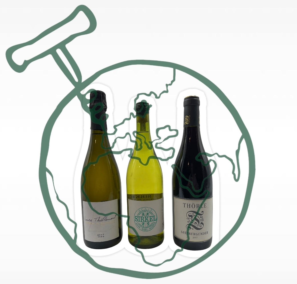 New & Exciting Wines; interesting + easy on the pocket!